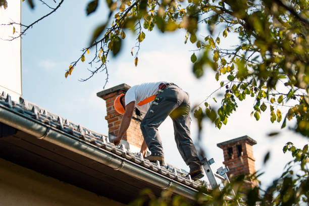 Professional Roofing in Urbana, IL